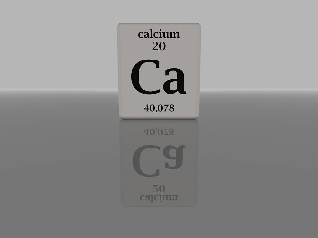 Les bienfaits du calcium